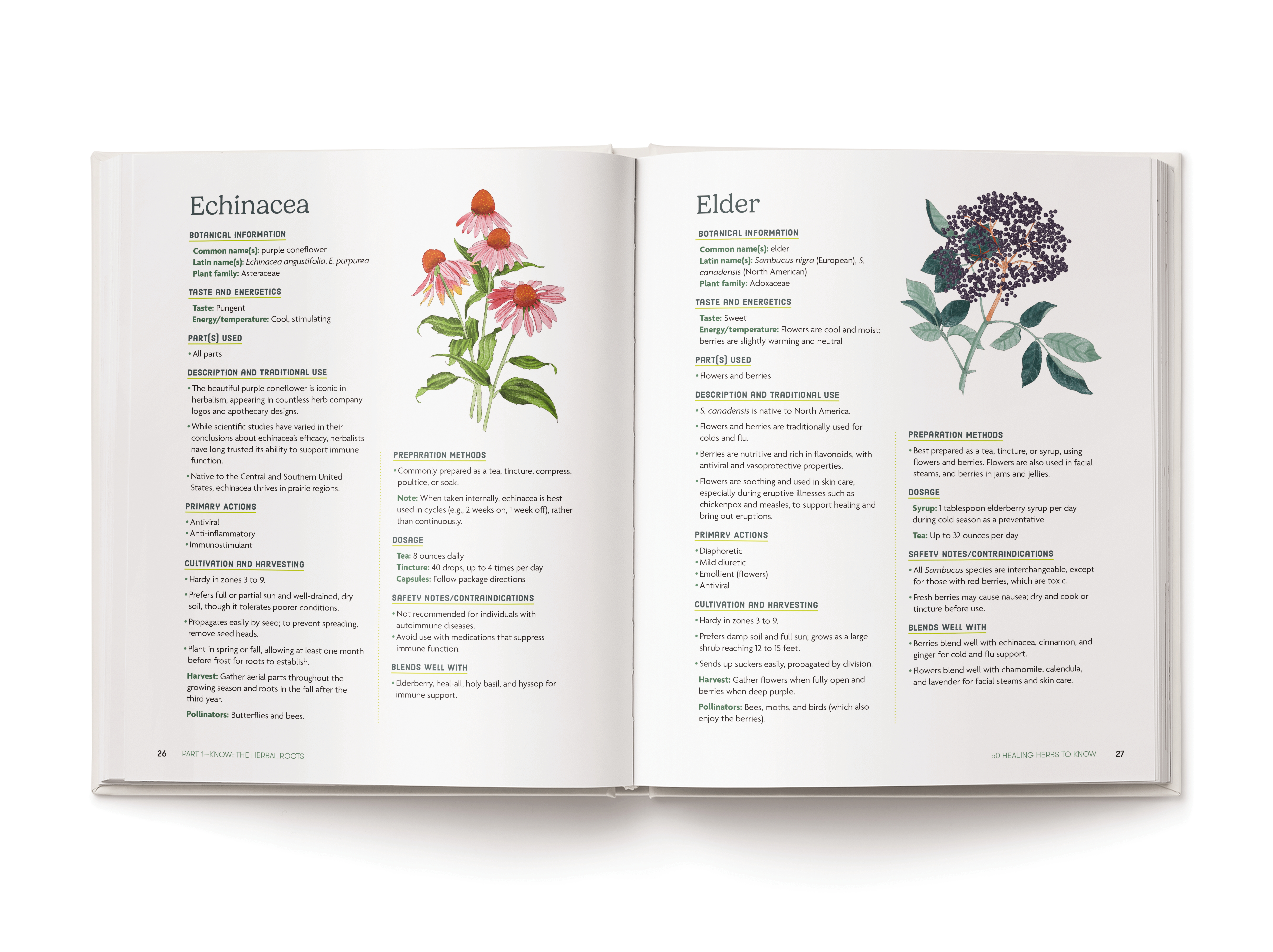 The Essential Home Apothecary Handbook