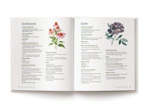 The Essential Home Apothecary Handbook